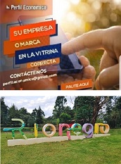 Perfil Económico